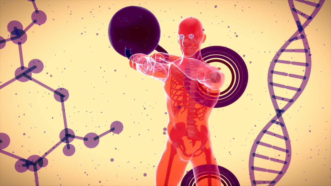 Doble hélice, Nucleótidos, Pares de bases, Código genético, Cromosomas, Estructura helicoidal, Ácido desoxirribonucleico, Adenina, Timina, Guanina, Citosina, Replicación del ADN, Secuenciación del ADN, Watson y Crick, Biología molecular, Genoma, Información genética, Hebras de ADN, Material genético , Modelo genético, análisis de ADN, molécula de ADN, transcripción de ADN, mutaciones genéticas, función del ADN, ADN,