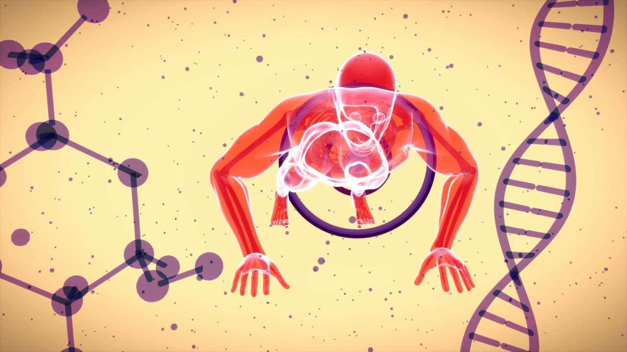 Doble hélice, Nucleótidos, Pares de bases, Código genético, Cromosomas, Estructura helicoidal, Ácido desoxirribonucleico, Adenina, Timina, Guanina, Citosina, Replicación del ADN, Secuenciación del ADN, Watson y Crick, Biología molecular, Genoma, Información genética, Hebras de ADN, Material genético , Modelo genético, análisis de ADN, molécula de ADN, transcripción de ADN, mutaciones genéticas, función del ADN, ADN,