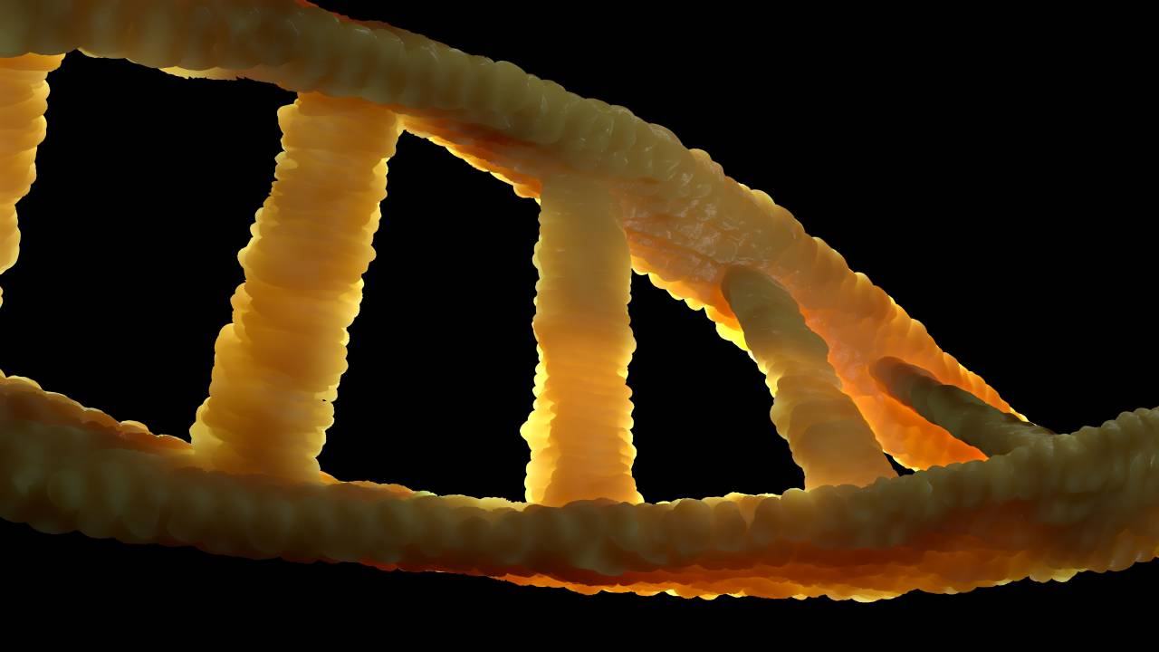 Double helix, Nucleotides, Base pairs, Genetic code, Chromosomes, Helical structure, Deoxyribonucleic acid, Adenine, Thymine, Guanine, Cytosine, DNA replication, DNA sequencing, Watson and Crick, Molecular biology, Genome, Genetic information, DNA strands, Genetic material, Genetic blueprint, DNA analysis, DNA molecule, DNA transcription, Genetic mutations, DNA function, DNA, 