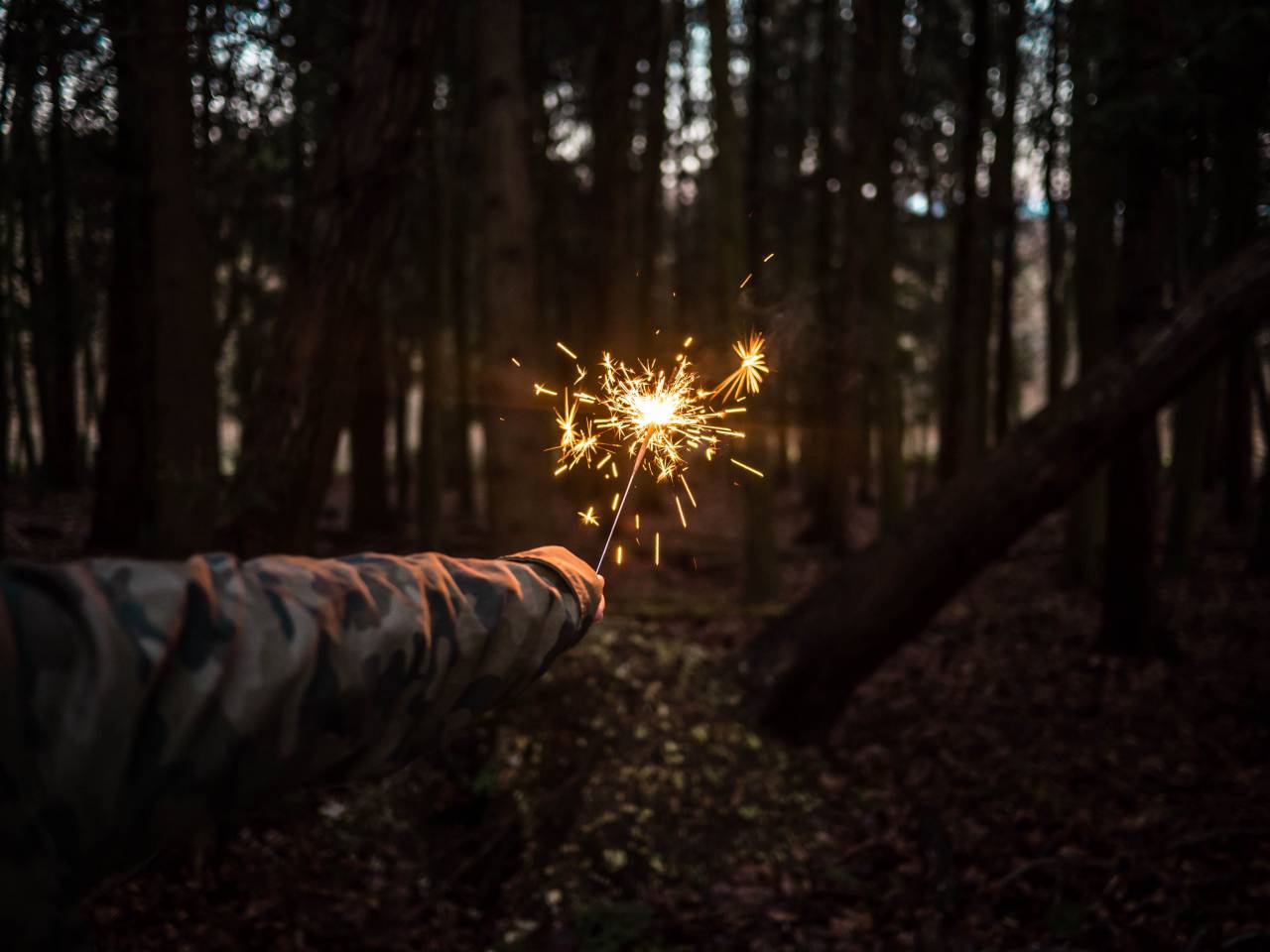 decoration, shiny, background, shinning, beautiful, illumination, glowing, bokeh, backdrop, new year, christmas, home, vintage, sparkle, seasonal, lit, illuminated, copy space, celebration, shine, glittering, greeting, celebrate, night, bright, vibrant, flare, highlights, december, festive, one person, handsome, 