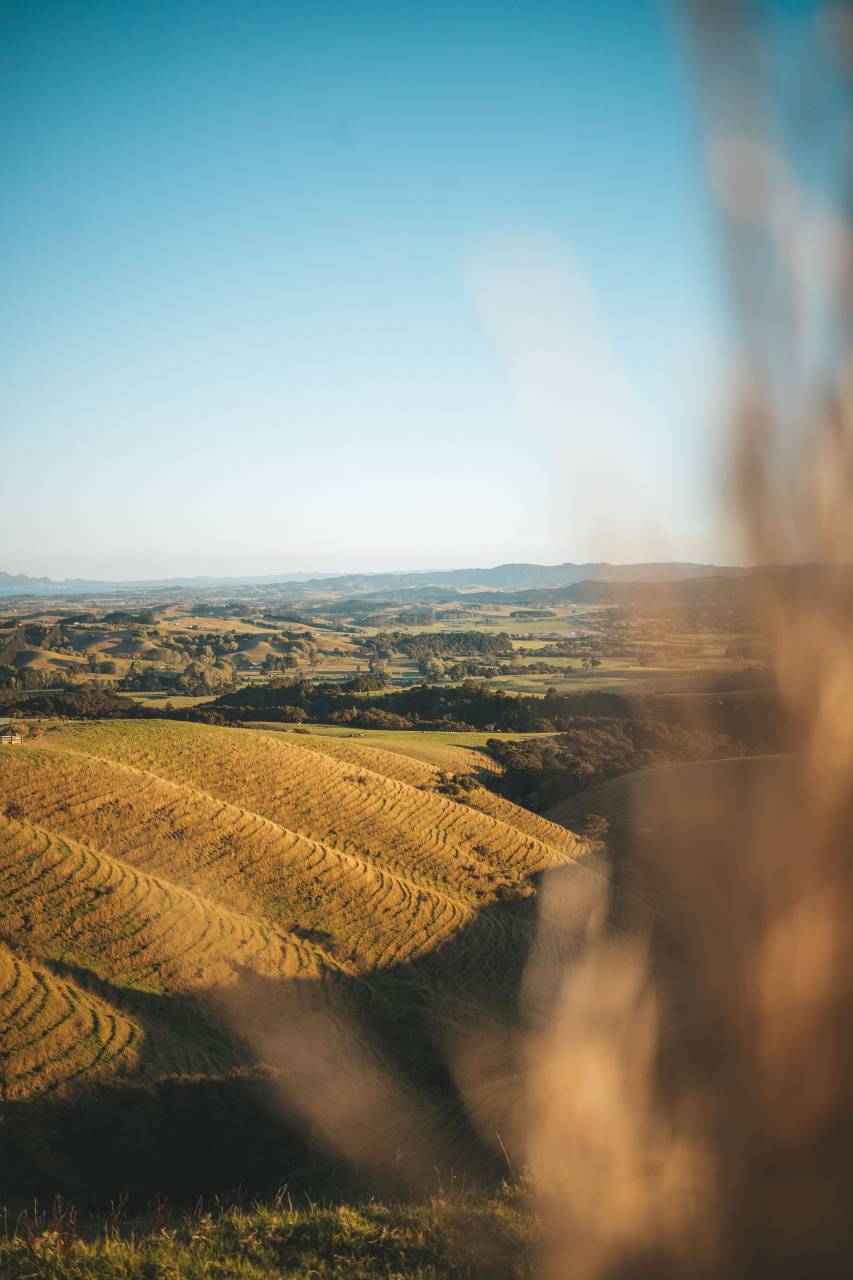tuscany;landscape,nature,rural scene,outdoors,landscape,farm,agriculture,meadow,summer,tree,grass,non-urban scene,autumn,land,sunset,sunlight,forest,green color,blue,season,mountain,beauty in nature,yellow,sun,plant,sunrise,dawn, 