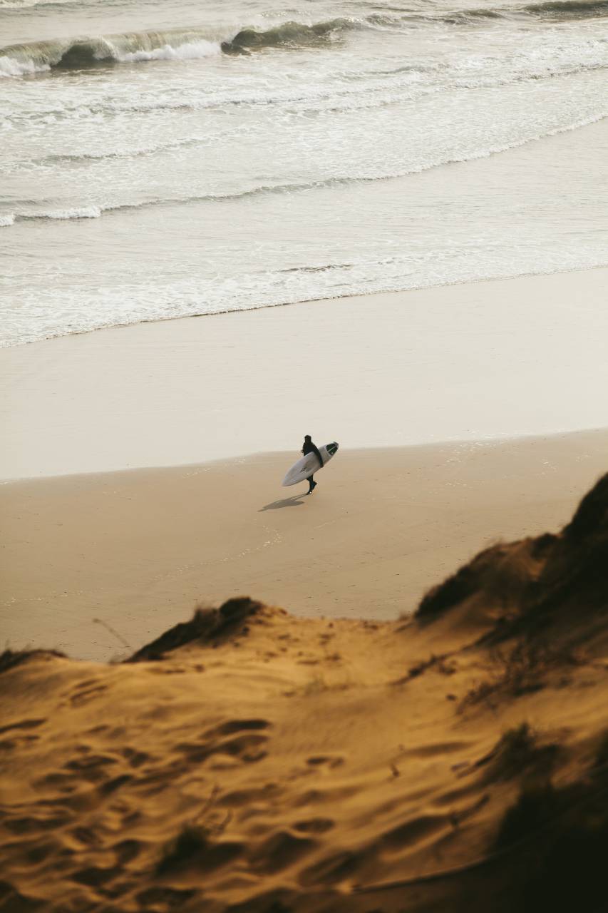 surfer;walking;beach,nature,sand,animal,outdoors,coastline,water,sunset,summer,flying,animals in the wild,wave,beauty in nature,blue, 