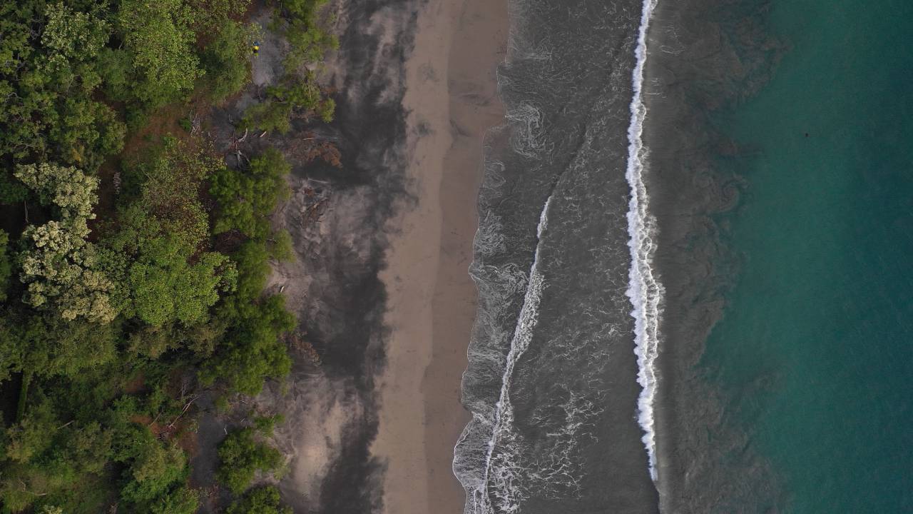Antena, agua, árboles, olas, naturaleza, aire libre, bosque, orilla, costa, zumbido, paisaje, medio ambiente,