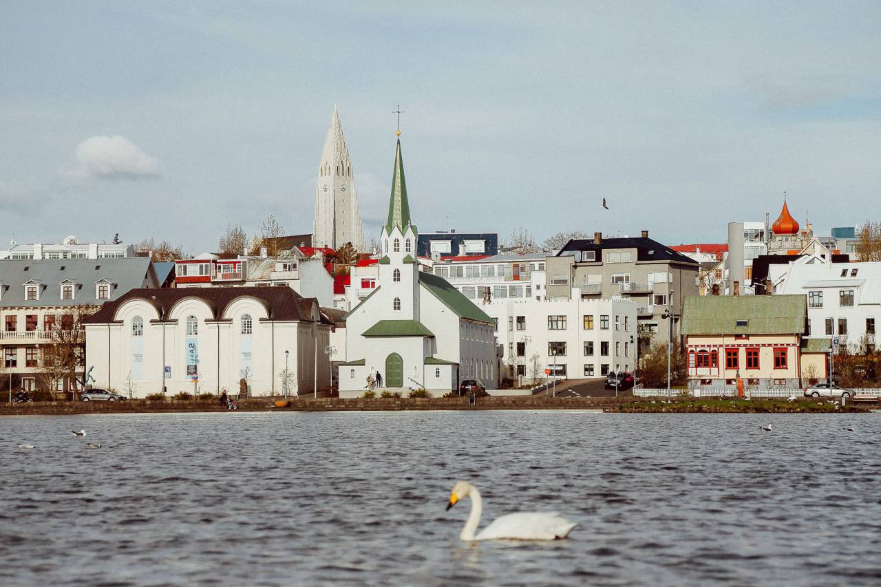 Arquitectura, edificio, infraestructura, horizonte, ciudad, urbano, iglesia, pato, cisne, mar, agua,