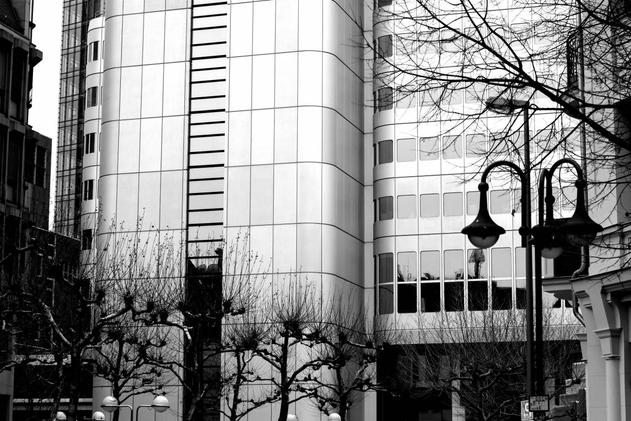 architecture, building, infrastructure, structure, establishment, windows, condominium, hotel, office, work, urban, city, trees, black and white, monochrome
, 