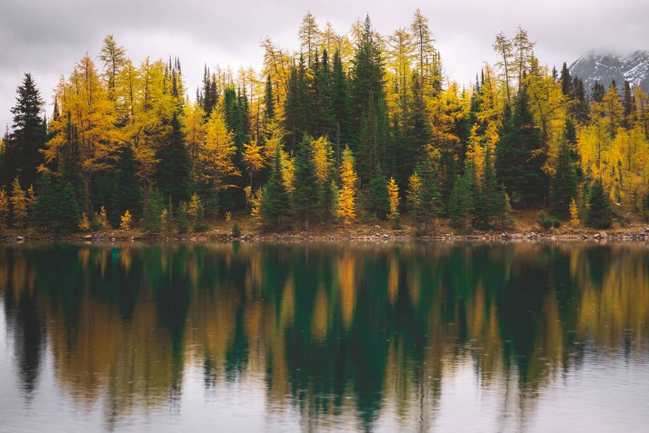 Otoño, follaje, reflexión, agua, naturaleza, al aire libre, nubes, medio ambiente, clima, árboles, bosque, viajes,