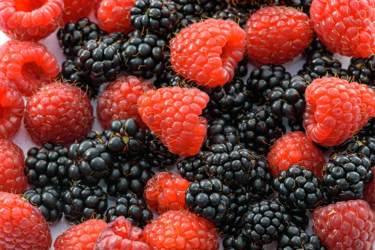 blackberry, raspberry, berry, fruits, vitamins, food, healthy
, 