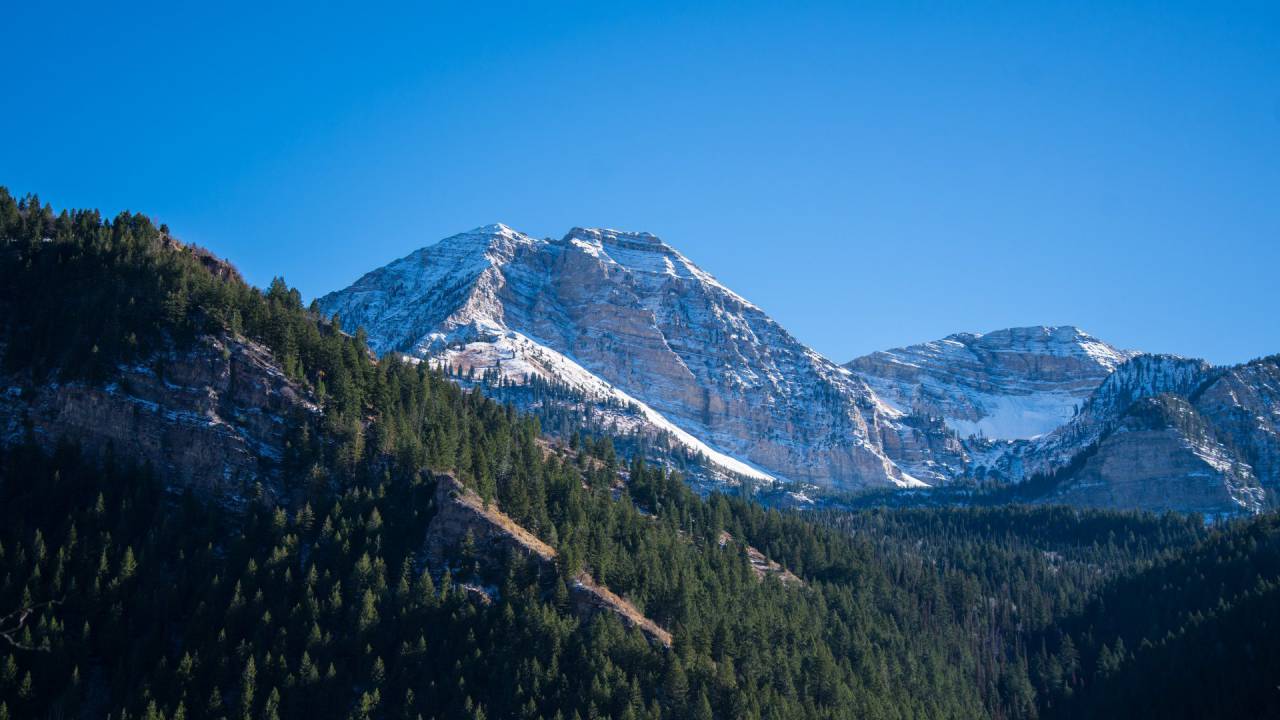 blue, sky, mountain, highland, ridge, tree, plant, forest, nature, landscape, view, travel
, 