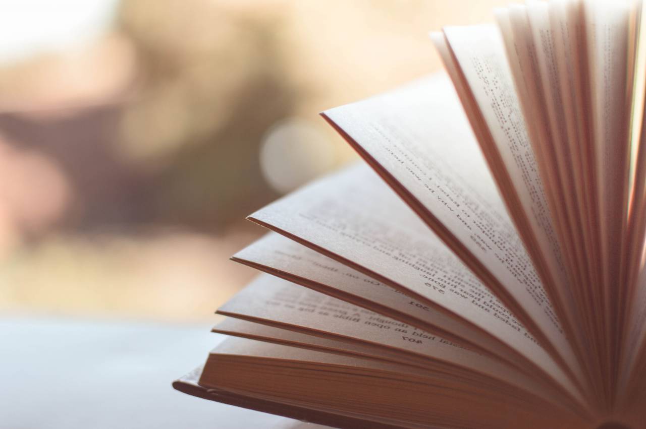 Libro, lectura, aprendizaje, estudio, educación, escuela,
