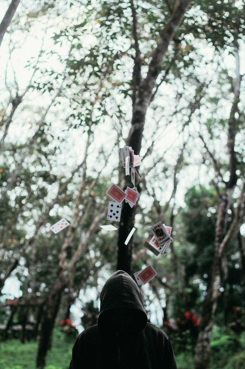 Tarjetas, hombre, sudadera con capucha, árboles, bokeh, espalda, chico, bosque, mago, difuminar, naturaleza,