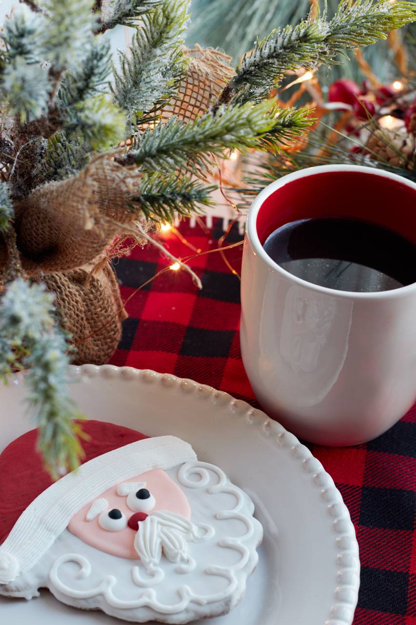 christmas, santa, cookies, coffee, festive, plate, holiday, plaid, pine, snack, baked, branch, xmas, seasonal, food
, 