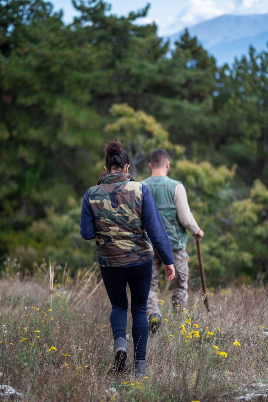 couple, hiking, nature, field, grass, trees, forest, explore, adventure, hunt, wanderlust, hike, walking, man, woman, recreation, park, outdoor
, 