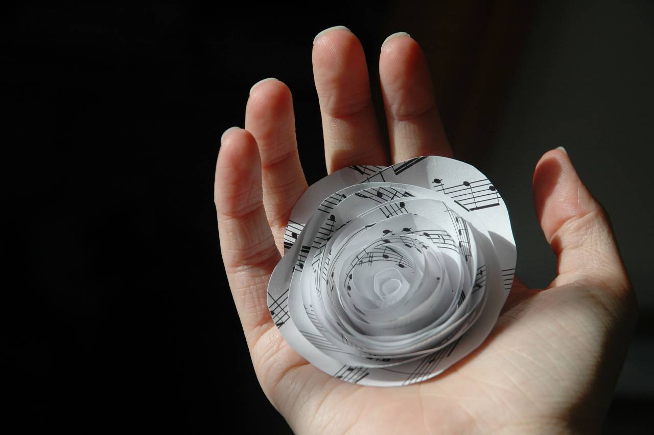 craft, paper, art, handmade, flower, paper flower, crafting, sheet music, hand, diy, light, shadows, blossom
, 