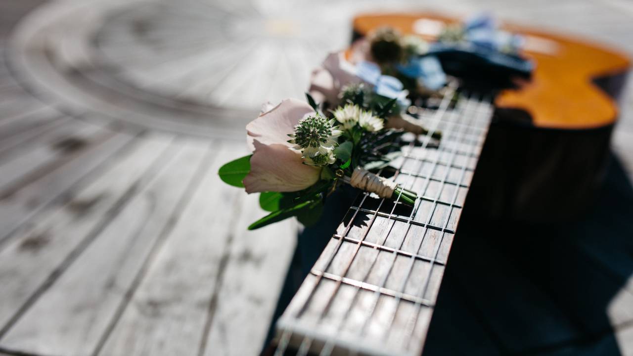 flower, pink, petal, bloom, plant, autumn, fall, guitar, strings, fret, sound, music, wood
, 