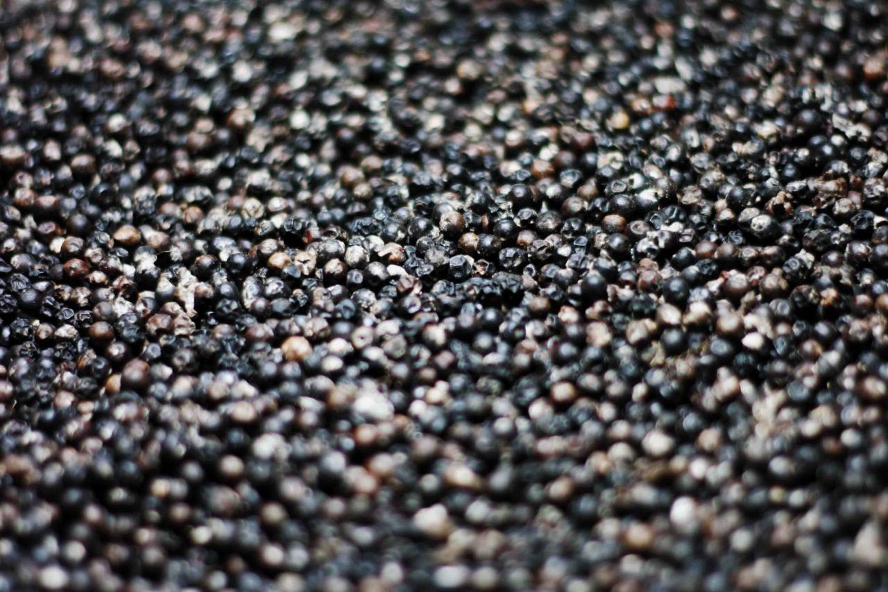 food, spice, pepper, corns, still, bokeh
, 