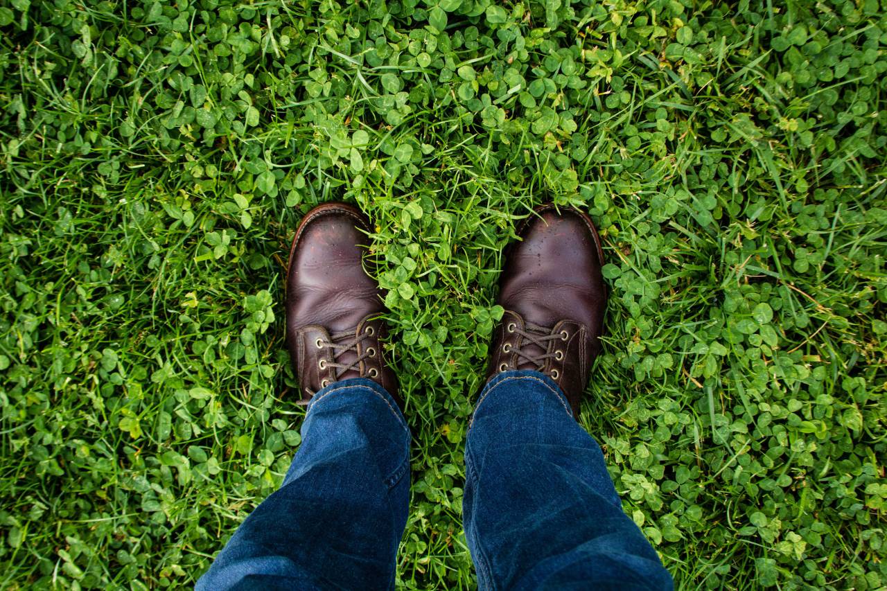 green, grass, jeans, denim, leather, shoe, travel
, 