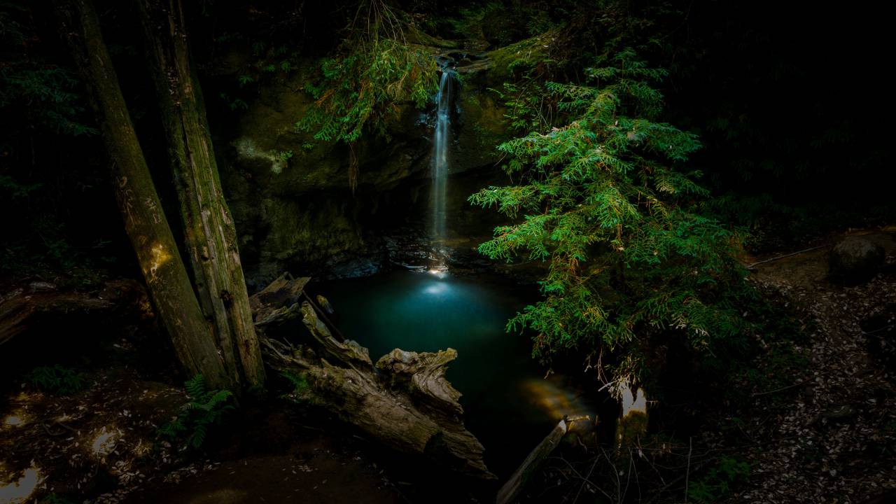 Verde, planta, naturaleza, bosque, cascada, agua, exterior, oscuro,
