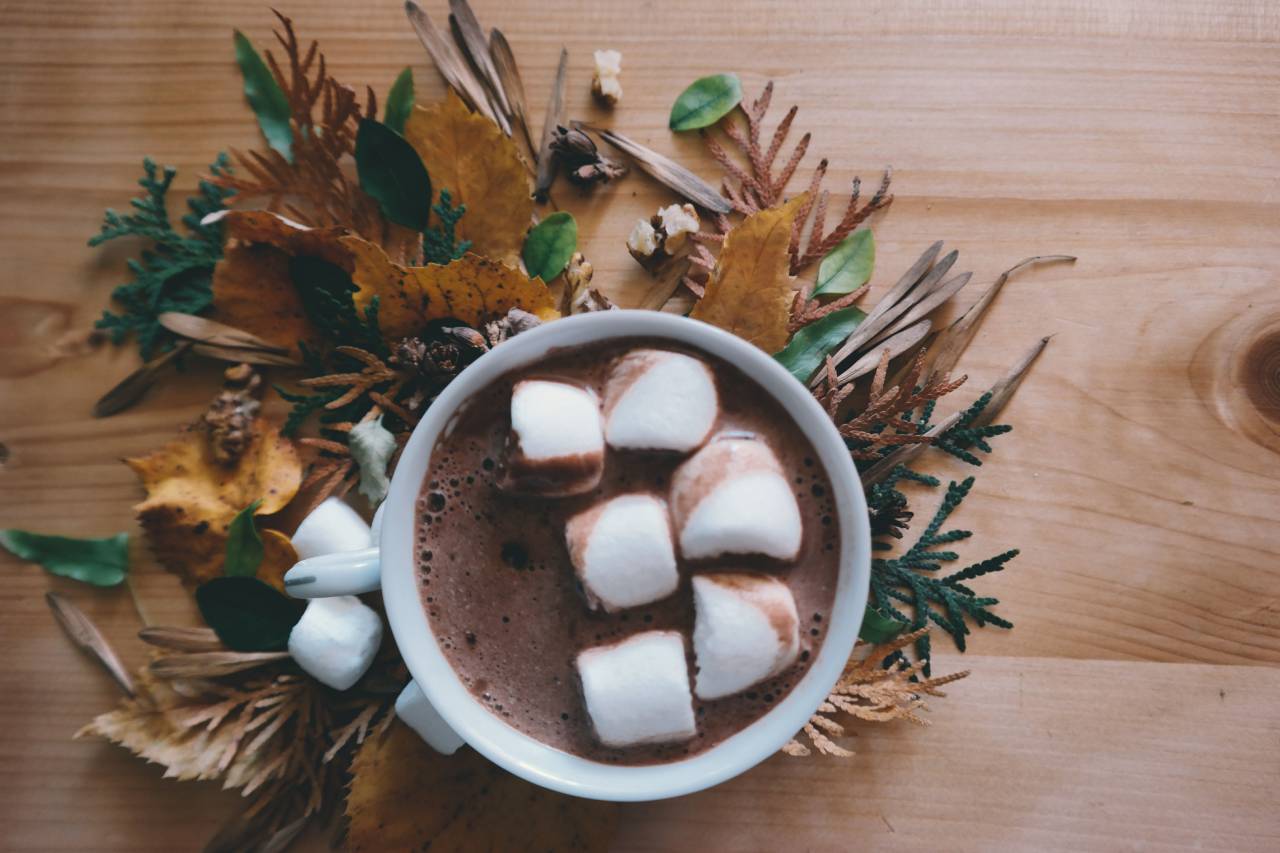 chocolate caliente, comida, hojas, hojas, malvavisco,