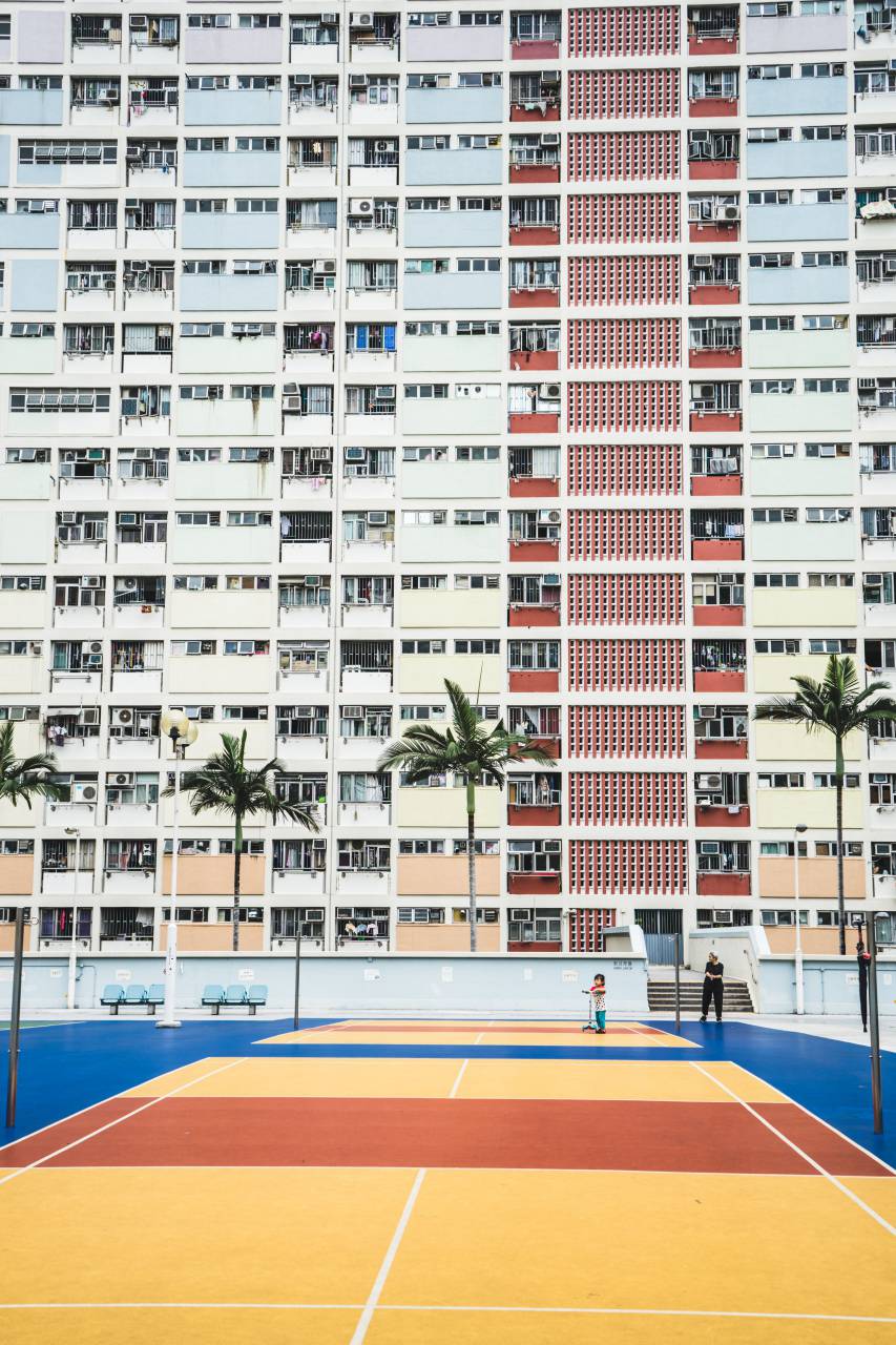 hotel, edificio, ciudad, urbano, chico, jugador, hombre, baloncesto, corte, anillo, coco, árboles, ventanas, cristales, silla,