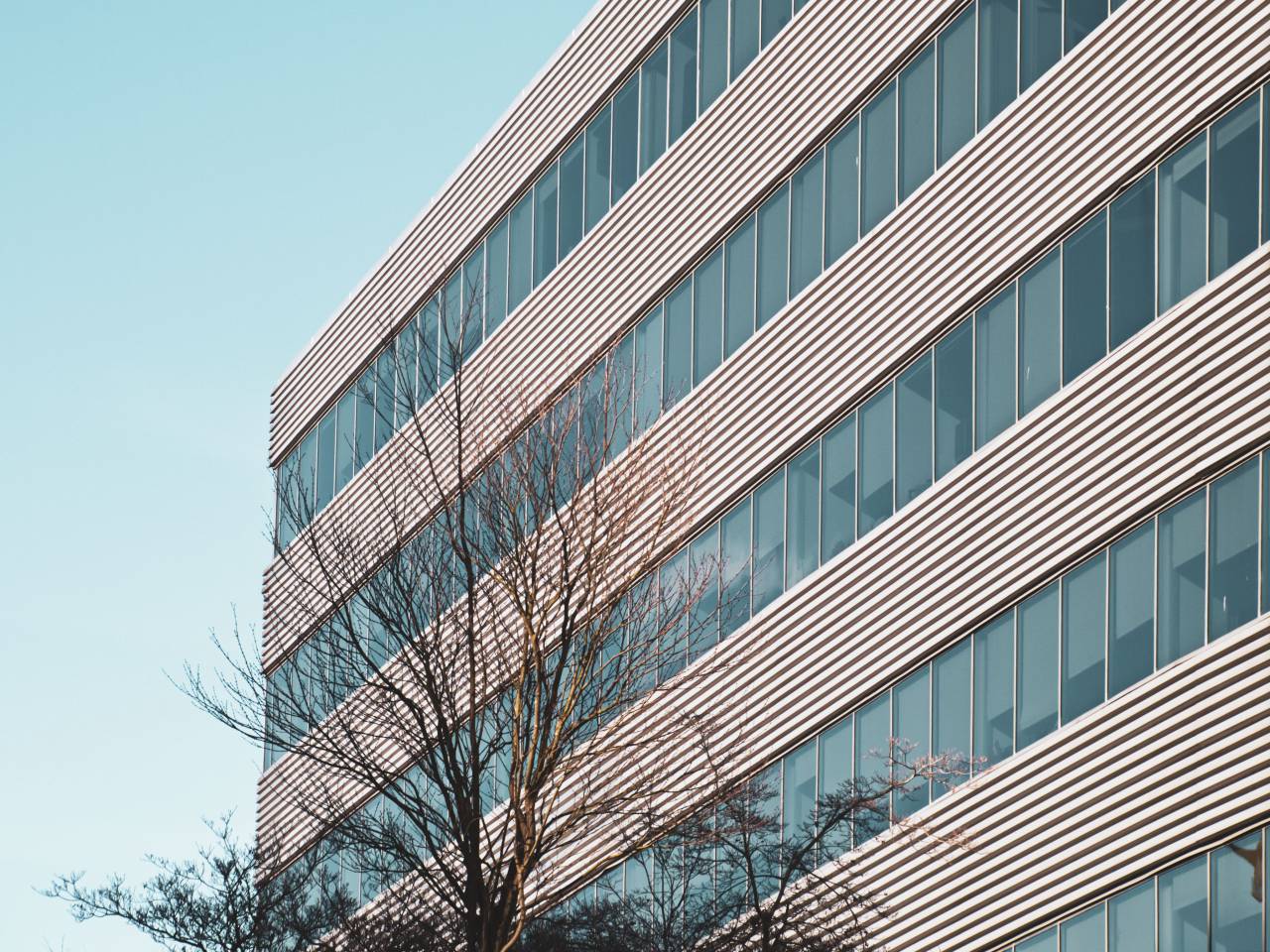 moderno, edificio, exterior, oficina, corporación, negocios, fachada, diseño, arquitectura, perspectiva, ventanas, árbol, cielo,