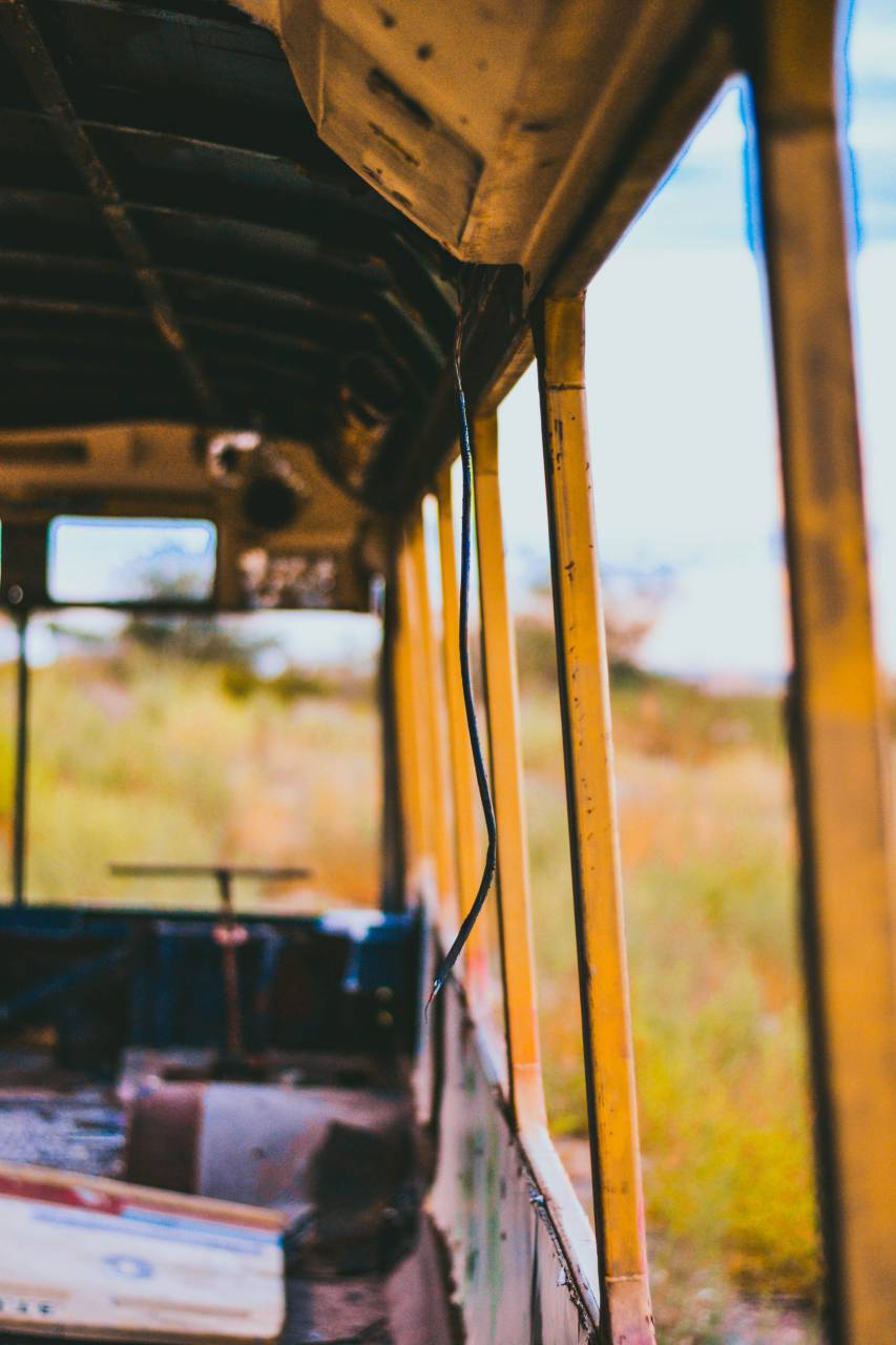nature, green, grass, bus, old, vintage, recycled, windows, damp
, 