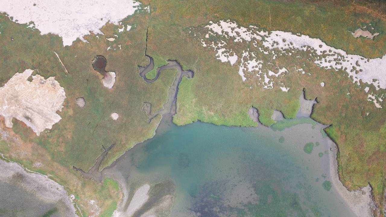 nature, landscape, aerial, water, land, green, grass, ocean, sea, map, area
, 
