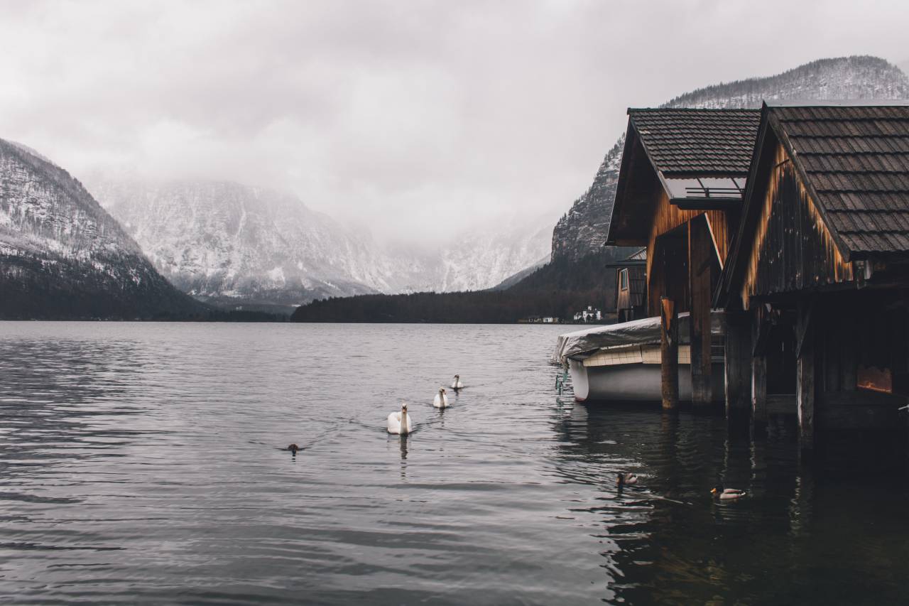 naturaleza, paisaje, casa, hogar, cisne, agua, océano, mar, montaña, blanco, pico, casa de descanso,