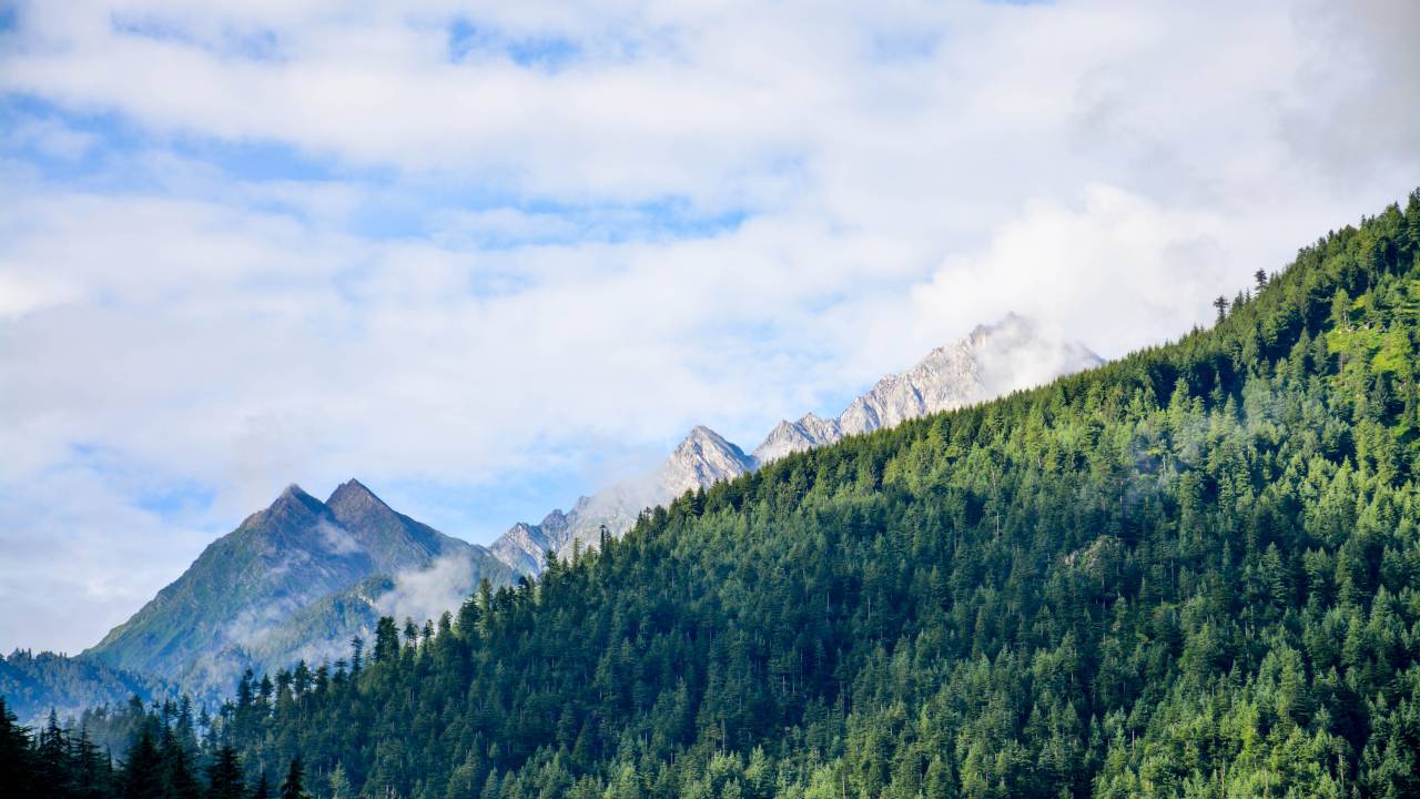 nature, landscape, woods, forest, trees, leaves, green, mountain, travel, adventure, trek, hike, climb, clouds, sky
, 