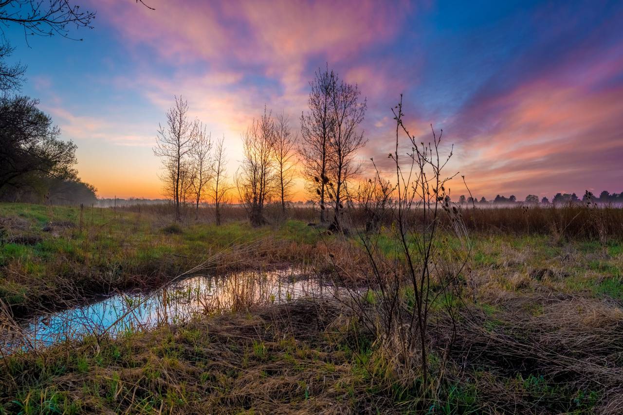 nature, plains, grass, trees, water, stream, puddle, reflection, sky, horizon, colors, clouds
, 