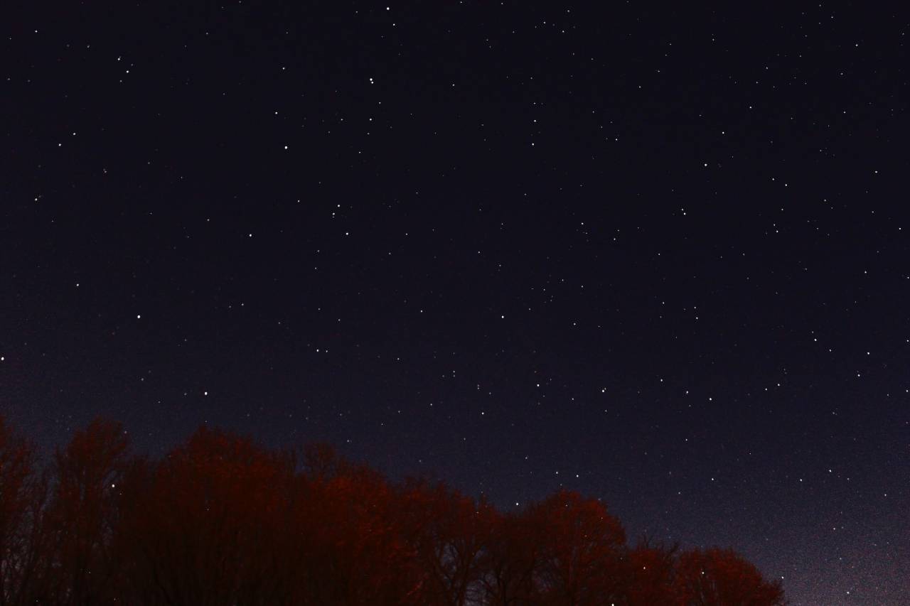 naturaleza, árboles, noche, cielo, estrellas,