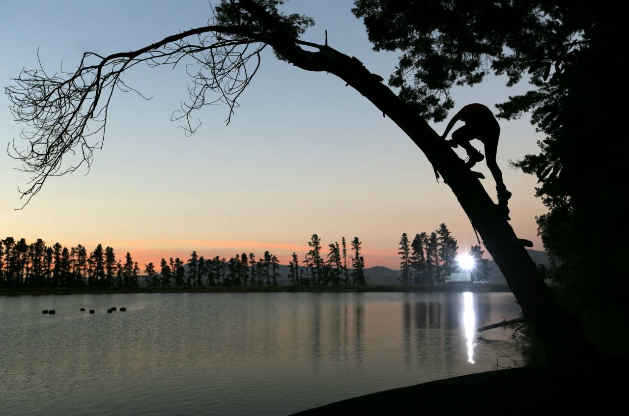 people, man, climbing, tree, plant, lake, water, nature, dark, sunset, sky, cloud, landscape, silhouette, reflection
, 