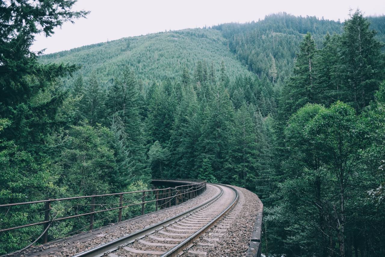 railroad, railway, train tracks, transportation, trees, leaves, branches, mountains, hills, nature
, 