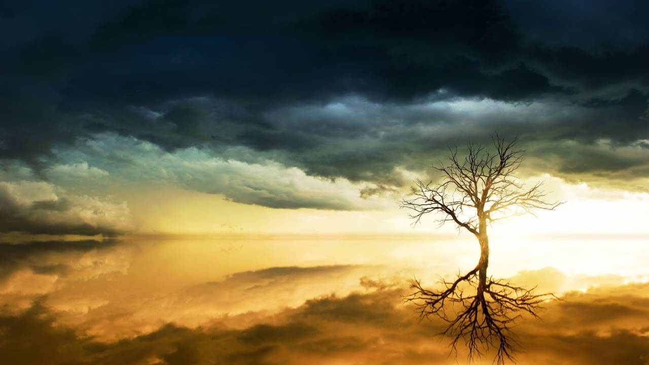 mar, océano, puesta de sol, nubes, trueno, espejo, reflejo, árbol,