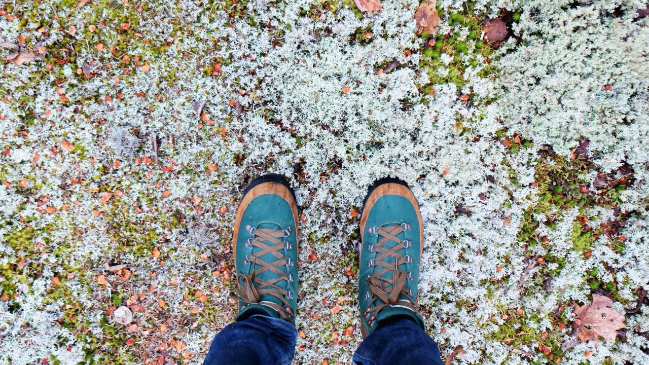 shoes, sneakers, fashion, ground, snow, nature
, 