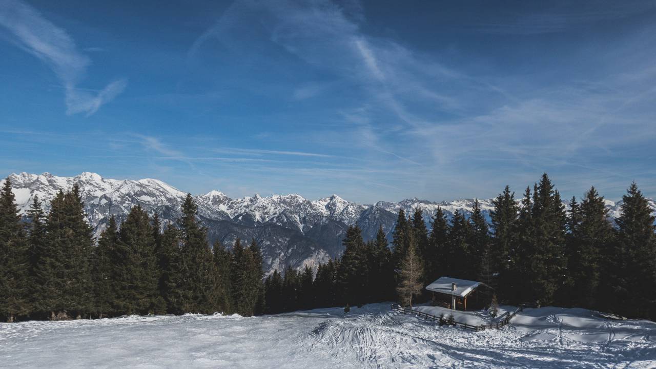 snow, winter, white, cold, weather, ice, trees, plants, nature, house, fence, woods, forest, clouds, sky
, 