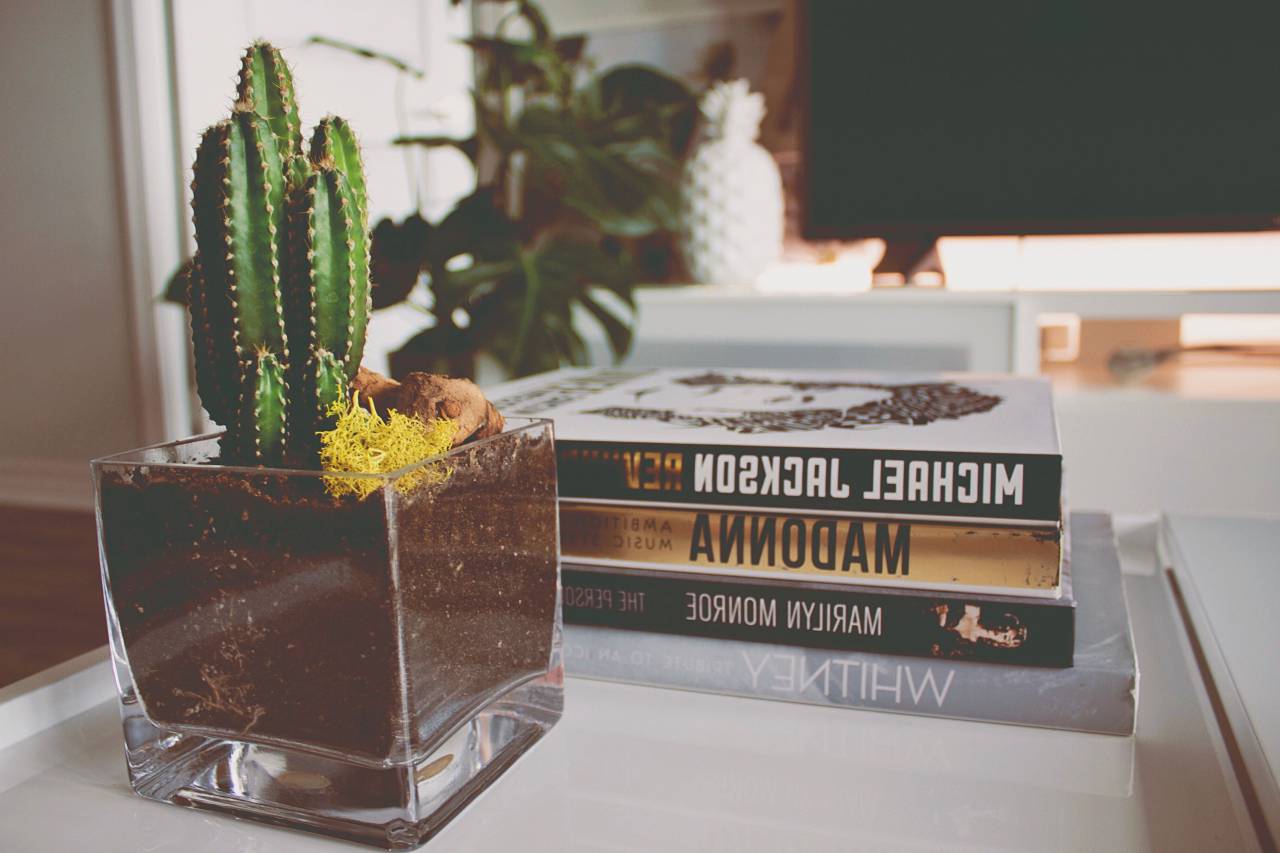 Pila, libros, diseño de interiores, cactus, planta, blanco, televisión, naturaleza, vidrio,