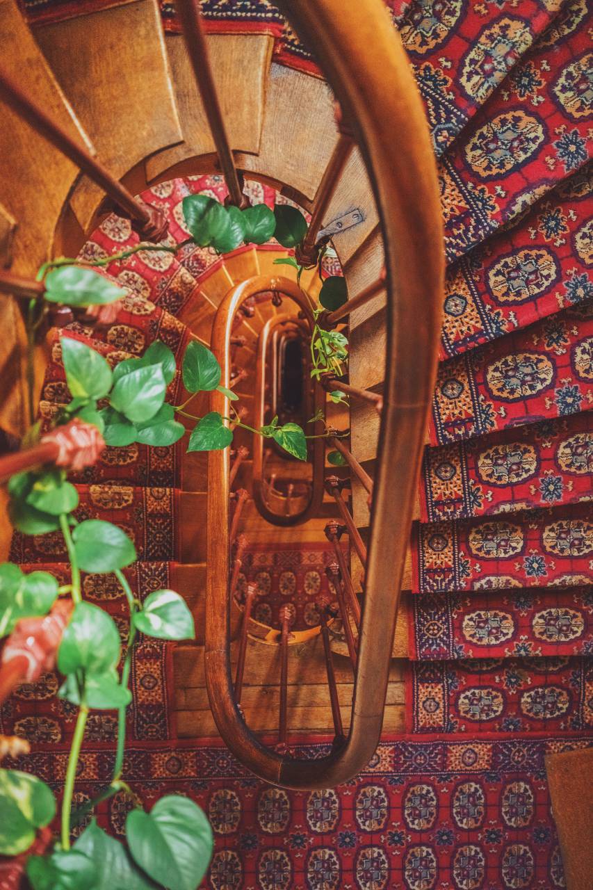 Escaleras, escalera, alfombra, madera, espiral, arte, diseño, verde, planta,