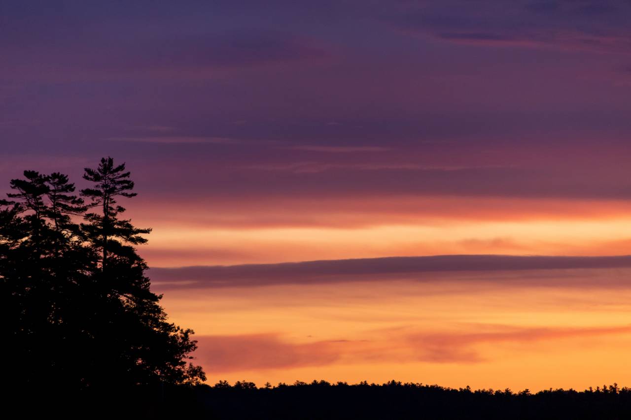 puesta de sol, nubes, árboles, silueta, naturaleza, al aire libre, oscuridad, luz del sol, cielo, cálido, escénico, bosque, resplandor, medio ambiente,