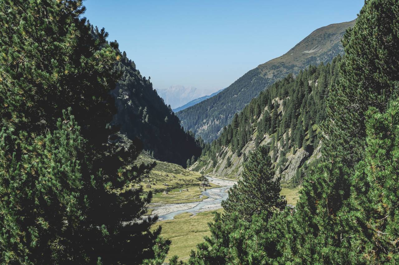 trees, plant, nature, mountain, highland, nature, blue, sky, clouds, landscape, view, river, water, sunny, day
, 