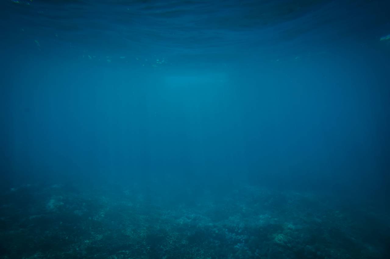 bajo el agua, océano, mar, azul,