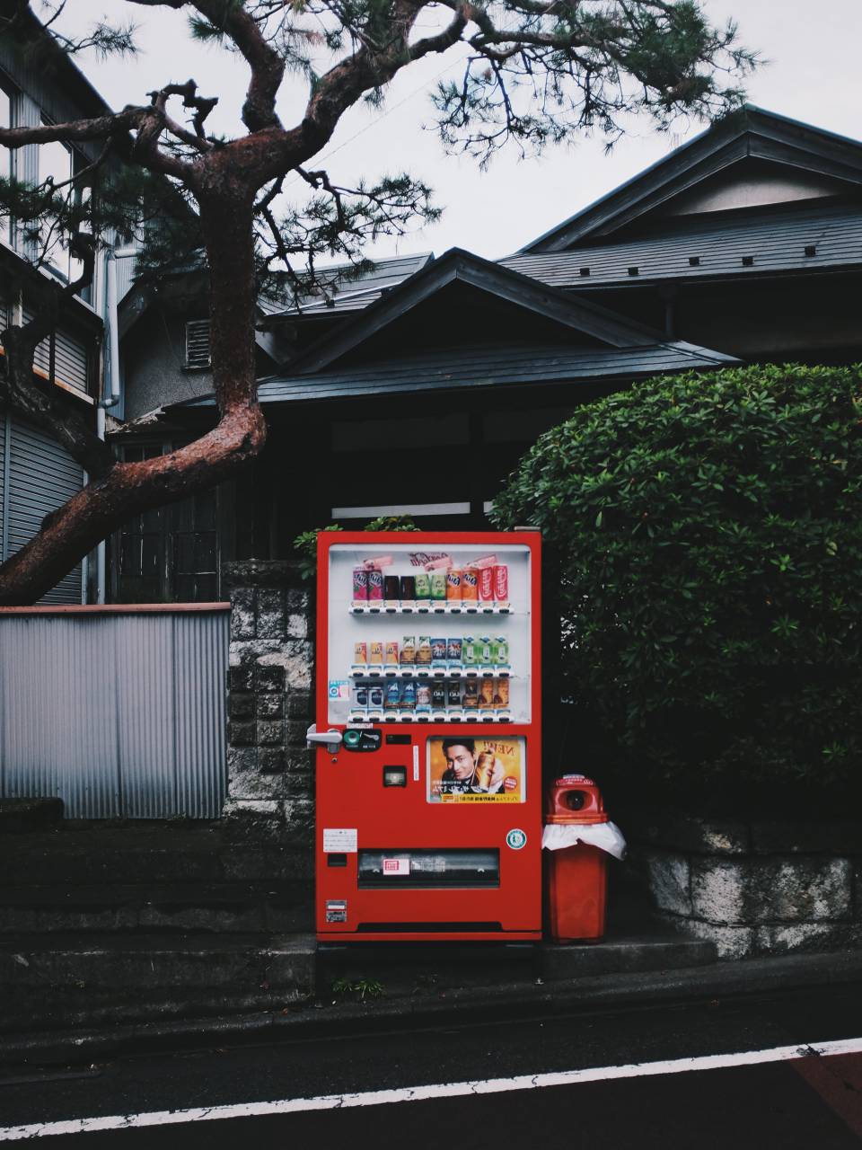 vendo, machine, drinks, beverage, outdoor, street, house, trash, bin, green, plant, nature, tree
, 