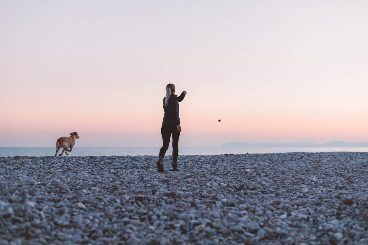 para caminar, perro, playa, mujer, silueta, olas, puesta de sol, cielo, saludable, juguetón, calma, bonita, oscuridad, arena, agua, pelota,