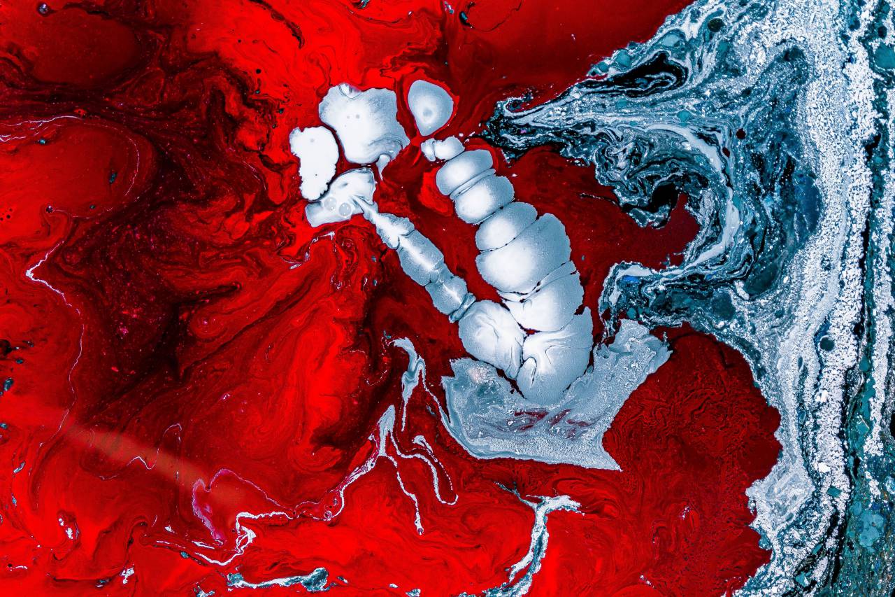 Agua, arte, color, rojo, artista, abstracto, tinta, pintura,