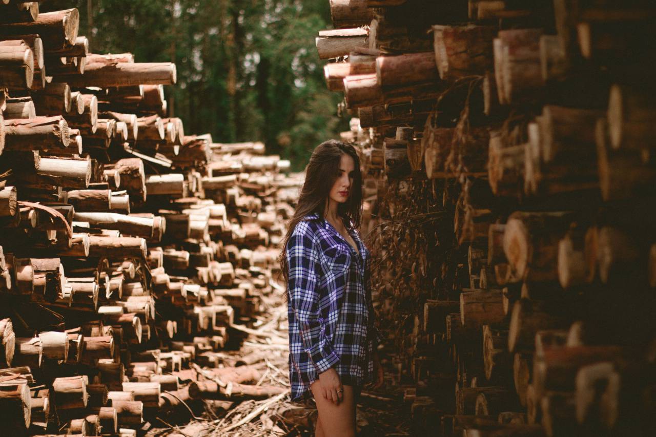 woods, woman, girl, lady, model, fashion, style, logs, brown, trees, nature, pile, branches
, 