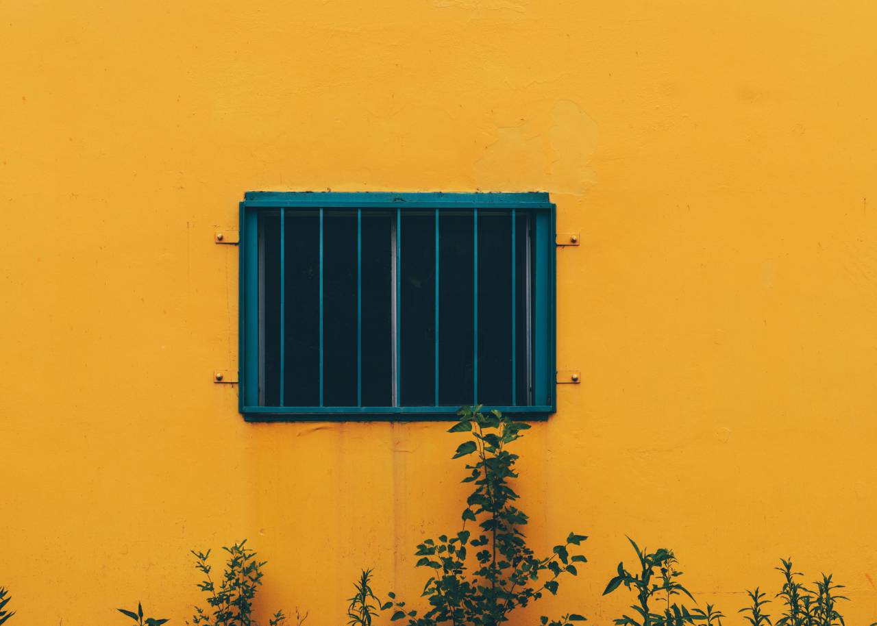 yellow, concrete, wall, plants, window
, 