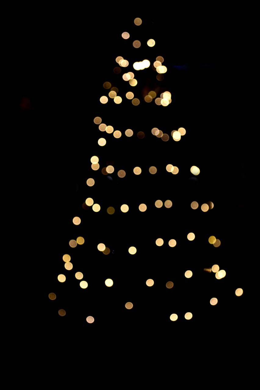 vacaciones, fondo, navidad, negro, árbol, superposición, luz, abstracto, celebración, telón de fondo, espacio de copia, árbol de navidad, diciembre,
