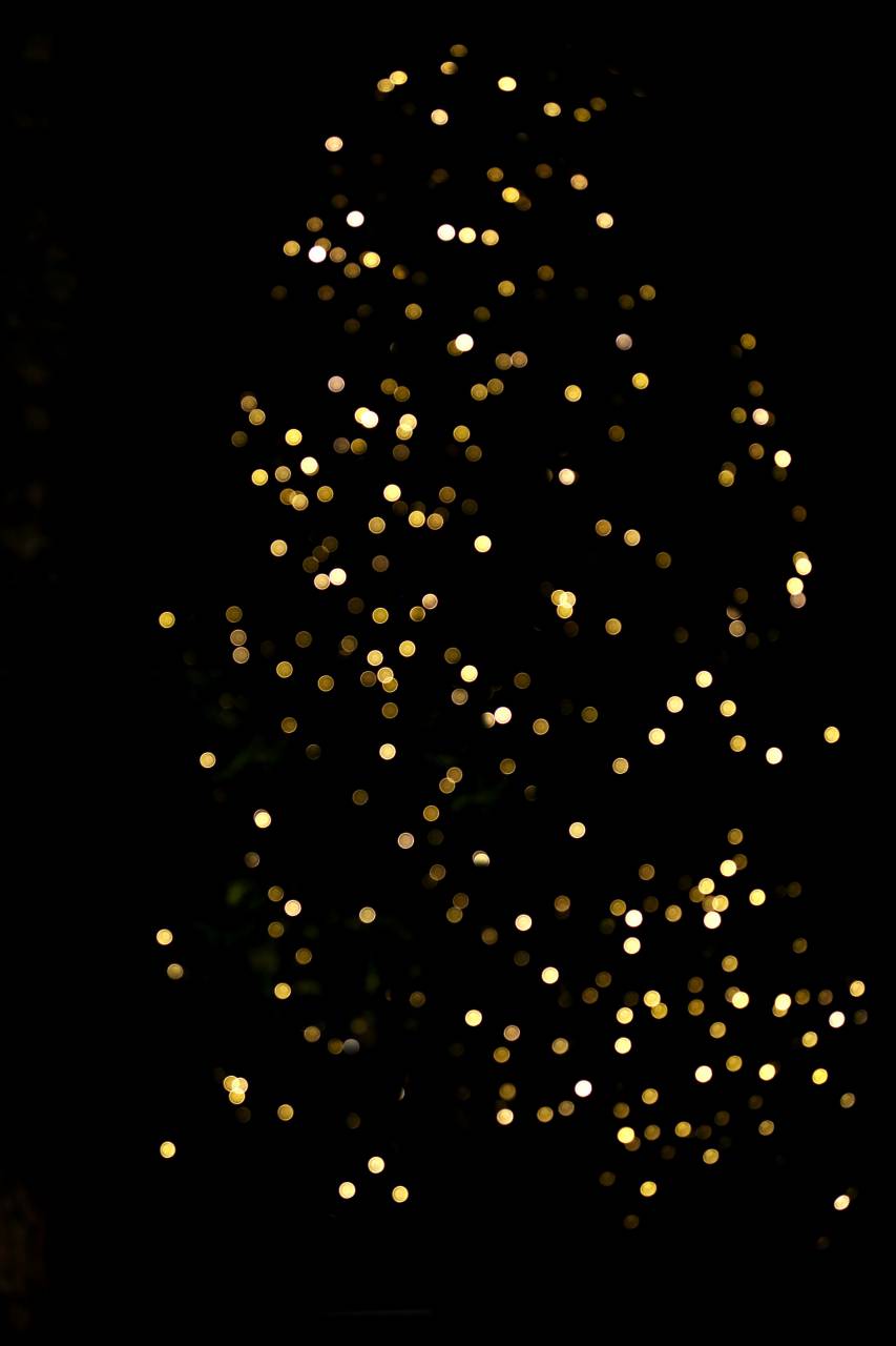 vacaciones, fondo, navidad, negro, árbol, superposición, luz, abstracto, celebración, telón de fondo, espacio de copia, árbol de navidad, diciembre,