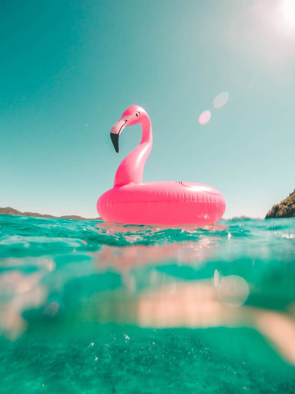 actividad, mar, orilla del mar, temporada, estacional, forma, anillo, verano, hora de verano, nadar, vacaciones, seguridad, recreativo, flotador, playa, infancia, costa, flamenco, flotante, inflable, agua, rosa,
