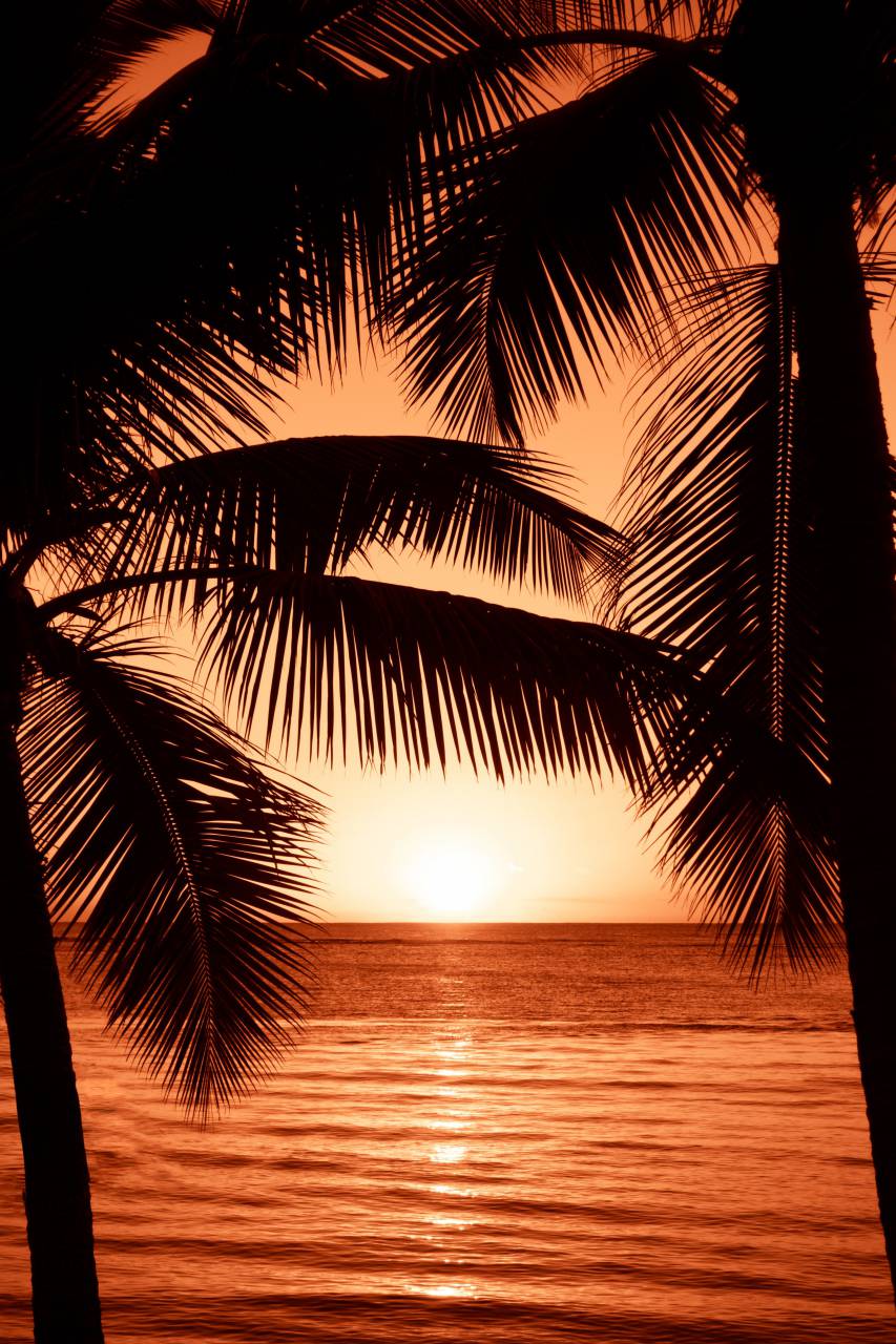 idílico, puesta de sol, playa, mar, verano, naturaleza, vacaciones, océano, sol, paisaje, paraíso, viajes, tropical, soleado, amanecer, cielo, isla, caribe, paisaje marino, turismo, arena, relajarse, al aire libre, agua, fondo, hermosa, fiesta, tranquilo, costa, luz de sol, navegar, Maldivas, horizonte, nadie, apuntalar, oscuridad, azul, sol, palma, Coco, recurso, panorama, ligero, amanecer, calma, relajación, pacífico, trópico, estado animico, palmera ,