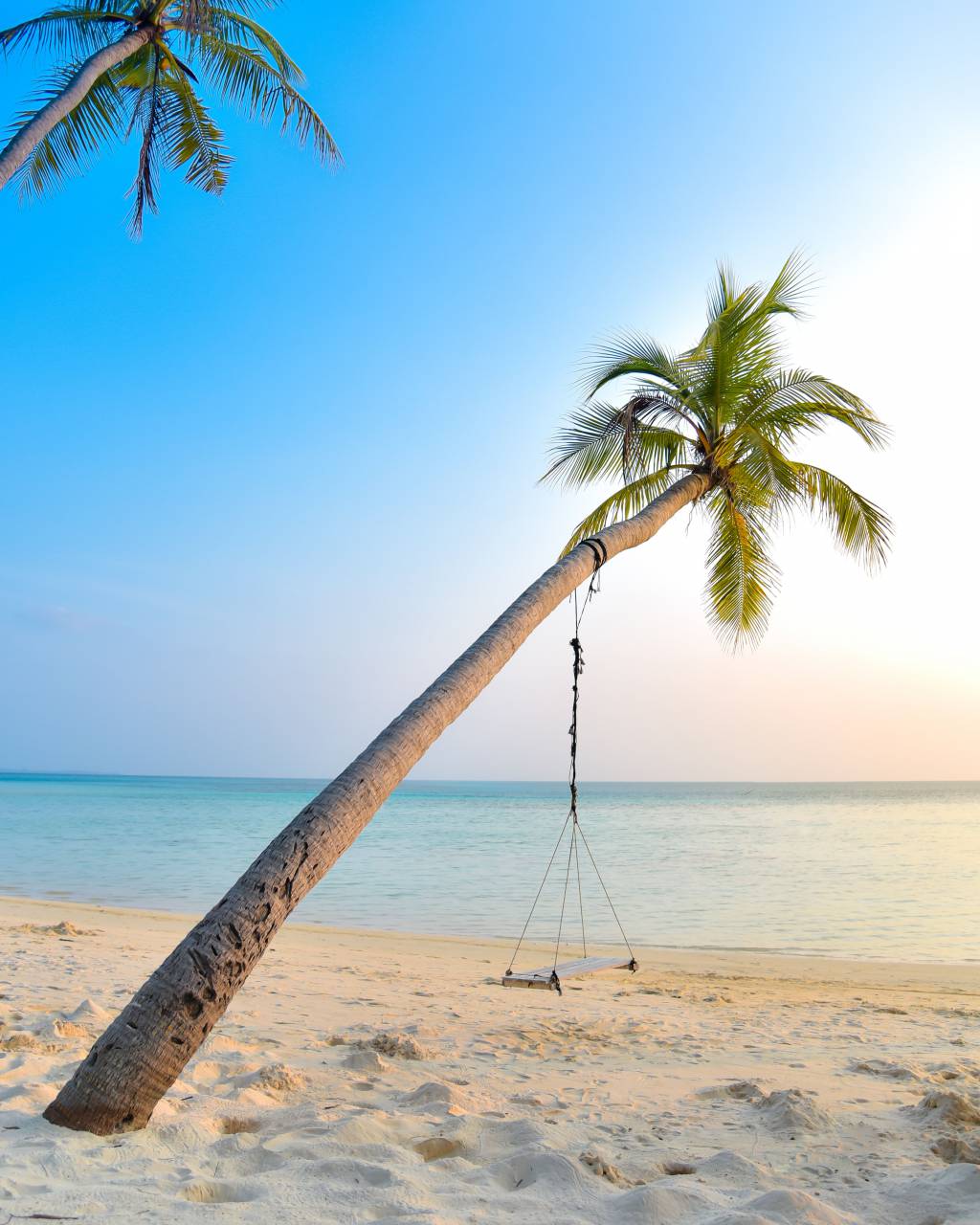 caribe, isla, paraíso, playa, tropical, viaje, arena, sol, océano, vacaciones, verano, hermoso, mar, palma, árbol, agua, naturaleza, paisaje, vacaciones, turismo, relax, resort, columpio, soleado, costa, cielo, azul, romántico, Tailandia, Maldivas, hamaca, antecedentes, al aire libre, paisaje marino, palmera, idílico, luna de miel, puesta de sol, Bali, paisaje, lujo, Coco, Bahamas, blanco, apuntalar, disfrutar, tranquilidad, exótico, olas, trópico , nadie,